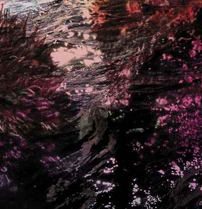 Treillis [CD]