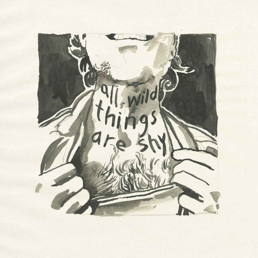 All Wild Things Are Shy [Vinyl]