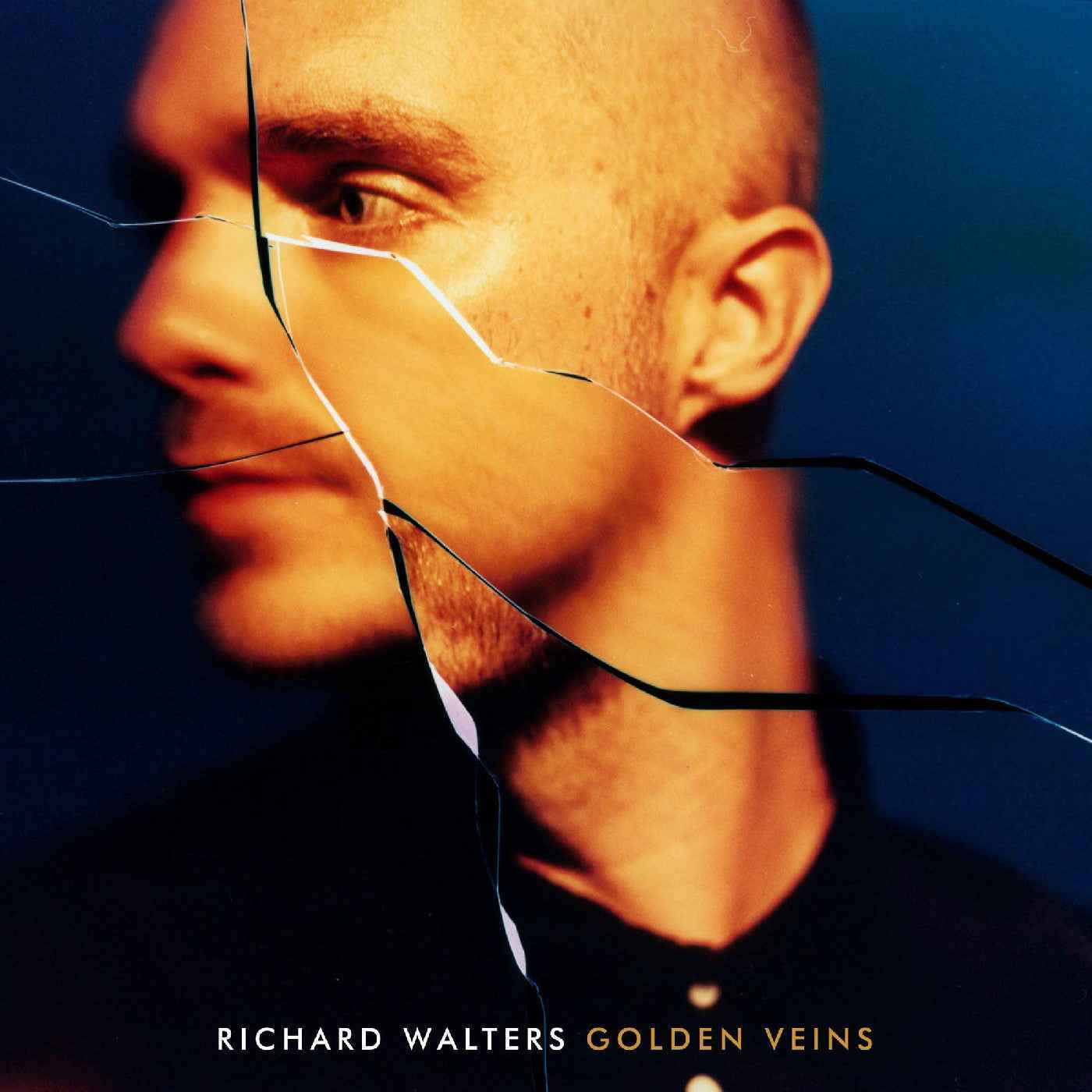 Golden Veins [Vinyl]