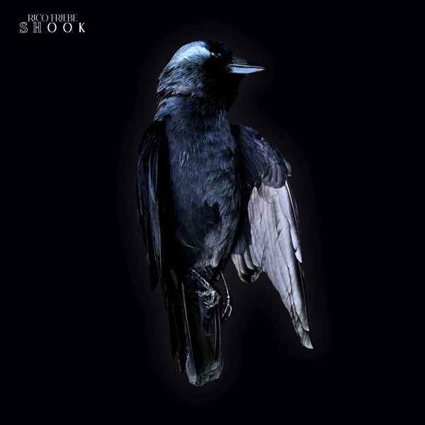 Shook [Vinyl]