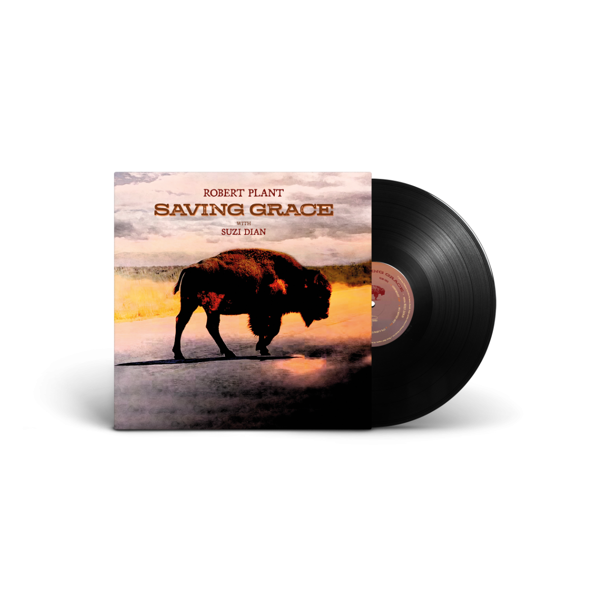 Saving Grace (140G Black Vinyl) [Vinyl]