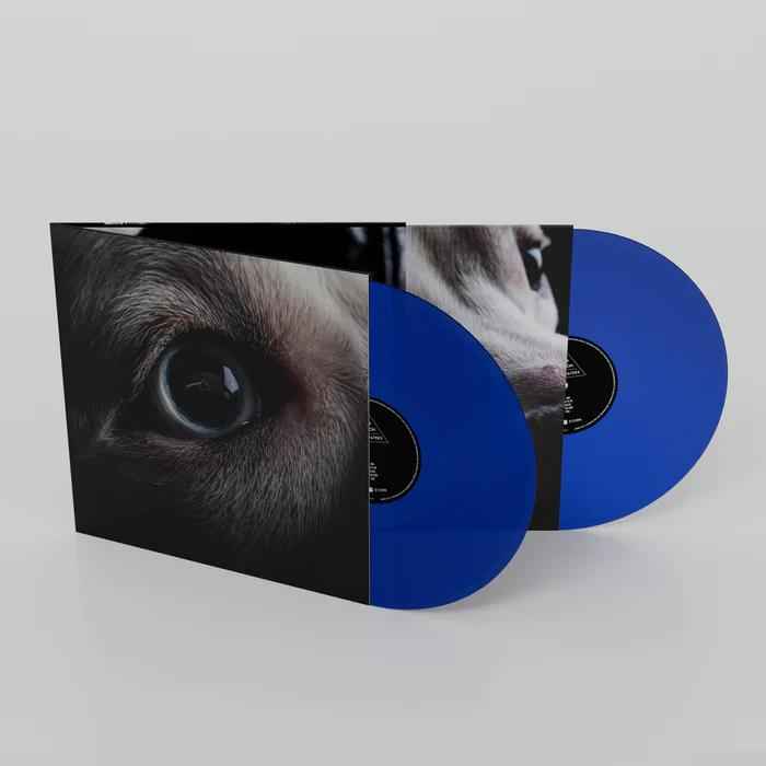 The Dark Side Of The Moon Redux (Indie Exclusive, 140 Gram Vinyl, Colored Vinyl, Blue) (2 Lp's) [Vinyl]