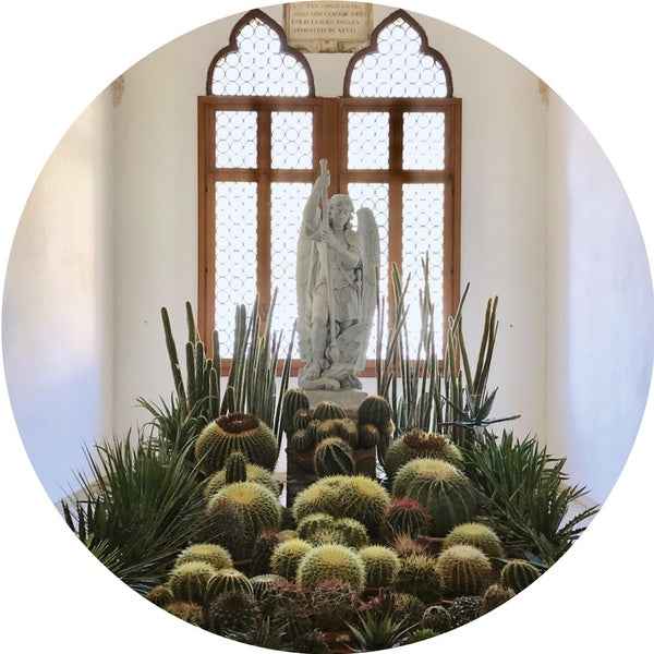 San Pedro [Vinyl]