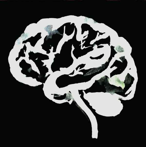 Ruins - Brain Flakes (The Lost Combo Tapes) [Vinyl]