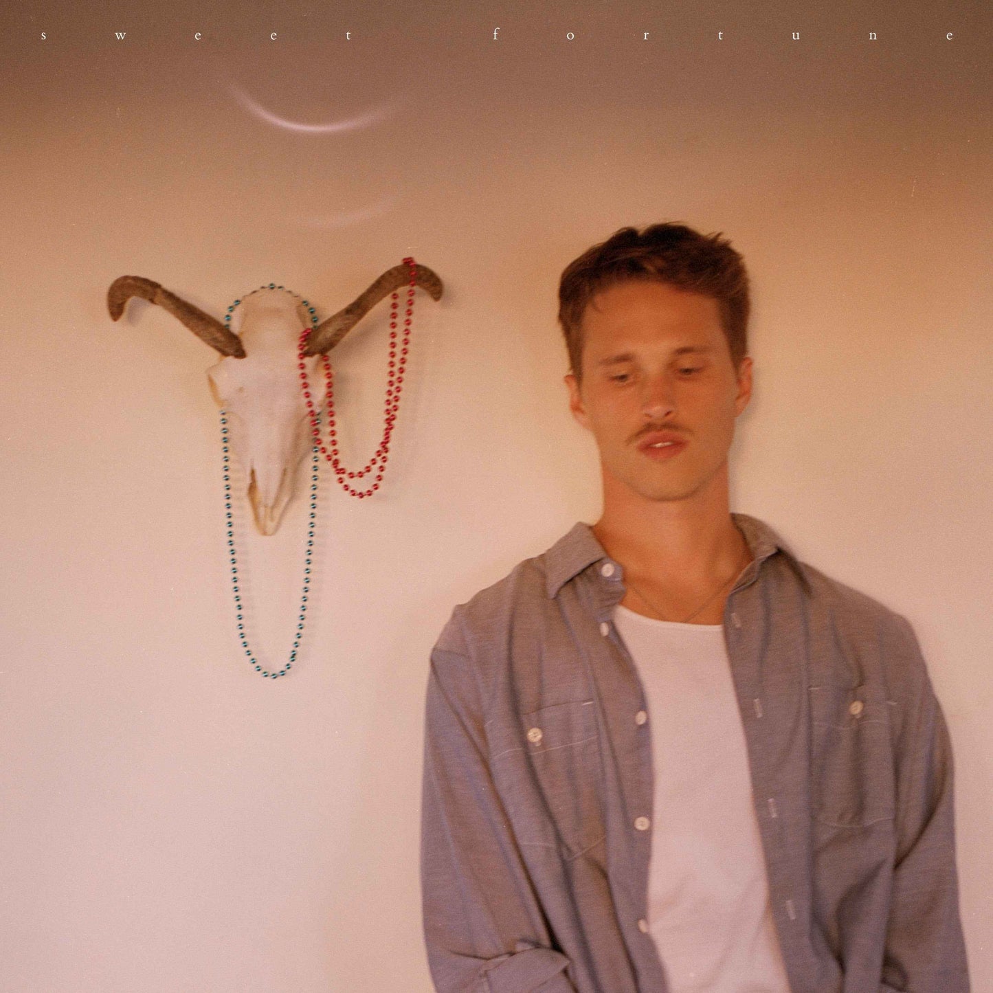 Ryan Beatty - Sweet Fortune (Gatefold, Includes 12X24 Poster) [Vinyl]