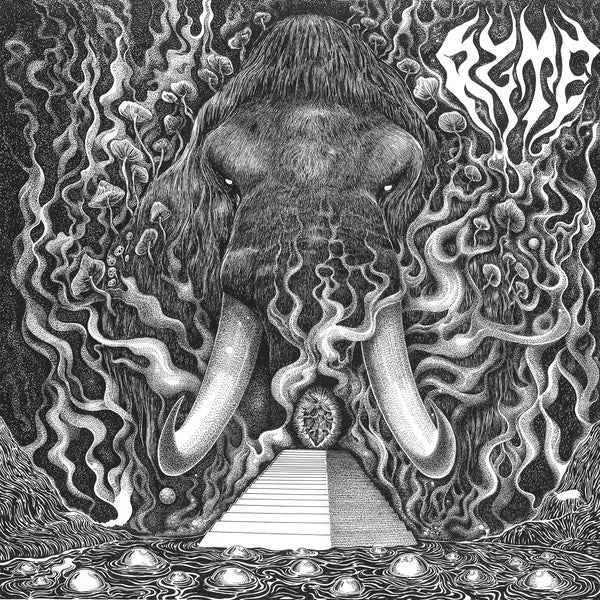 Ryte [CD]