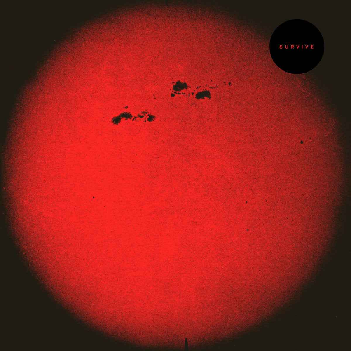 Hd015 [Vinyl]
