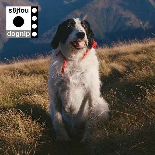 Dognip [Vinyl]
