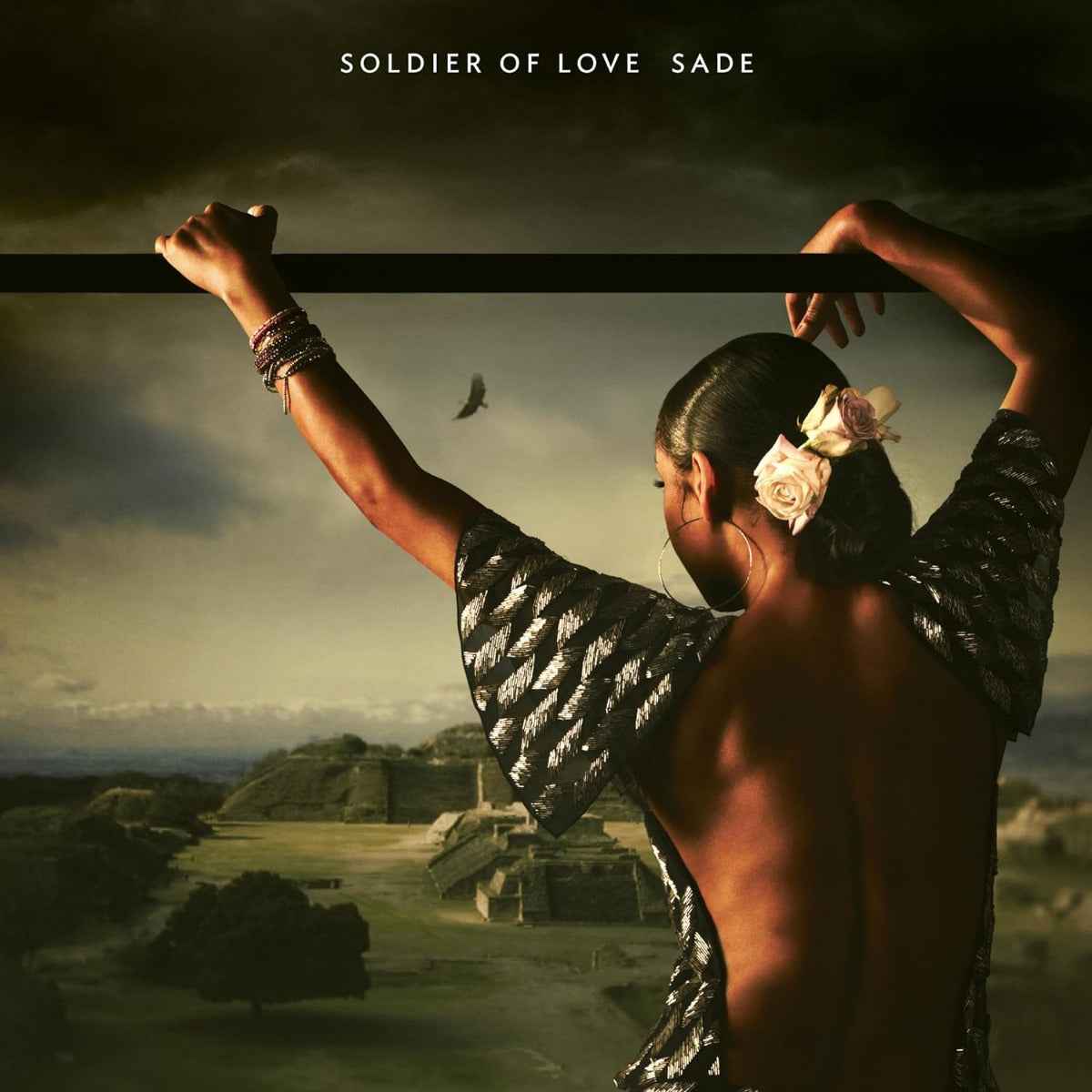 Soldier Of Love [Vinyl]