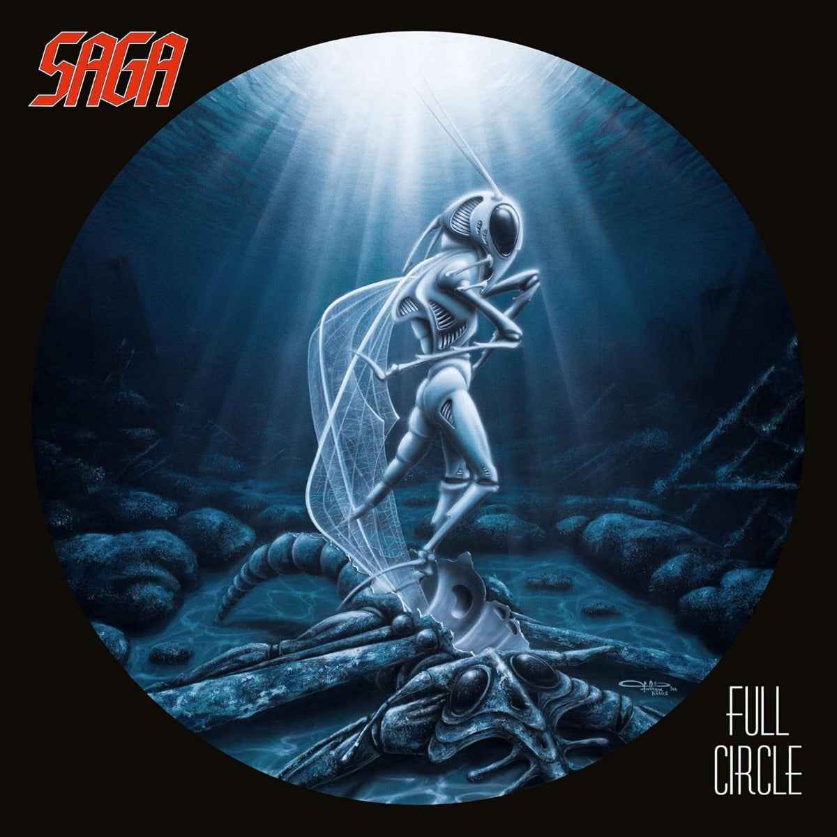 Full Circle (Remastered, 180 Gram Vinyl) [Vinyl]