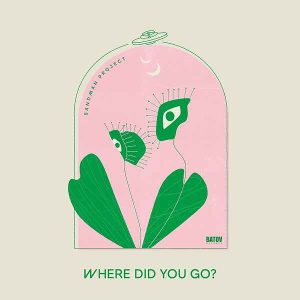 Where Did You Go? [Vinyl]