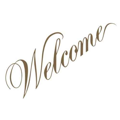 Welcome [Vinyl]
