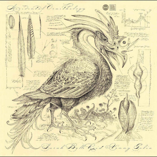 Accidental Ornithology [CD]