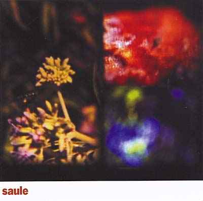 Saule [CD]