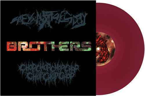 See You Next Tuesday - Brothers (7" Single) [Red Vinyl] [Vinyl]
