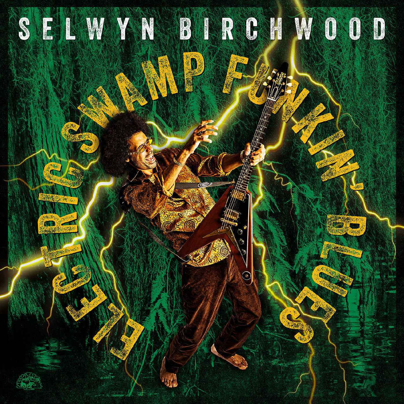 Electric Swamp Funkin' Blues [Vinyl]