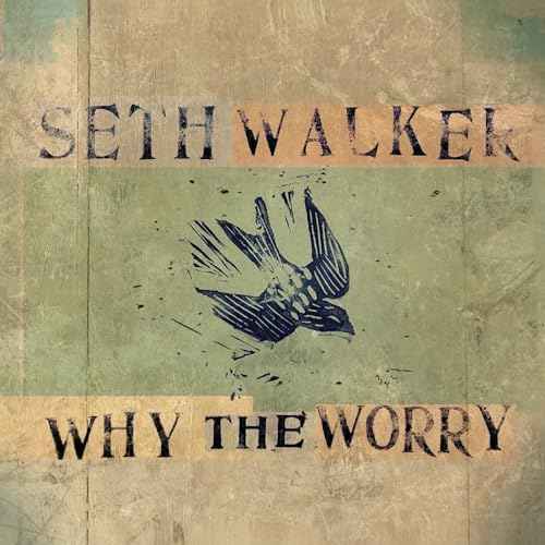 Why The Worry [Vinyl]