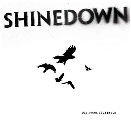 The Sound Of Madness [Rainbow Splatter] [Vinyl]