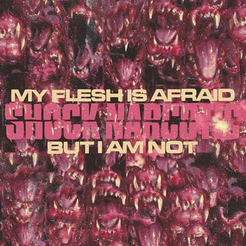 My Flesh Is Afraid But I Am Not [Vinyl]