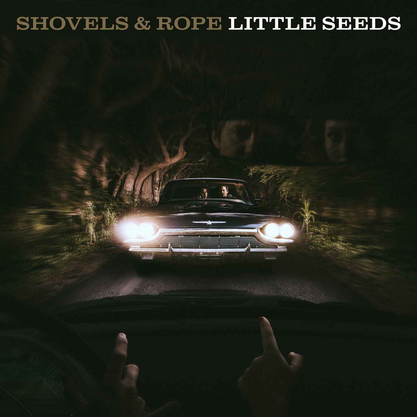 Little Seeds [CD]