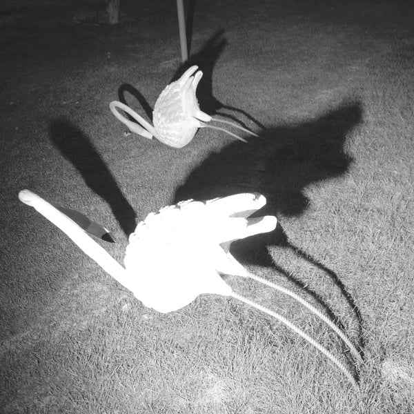 Siavash Amini - A Mimesis of Nothingness [Vinyl]