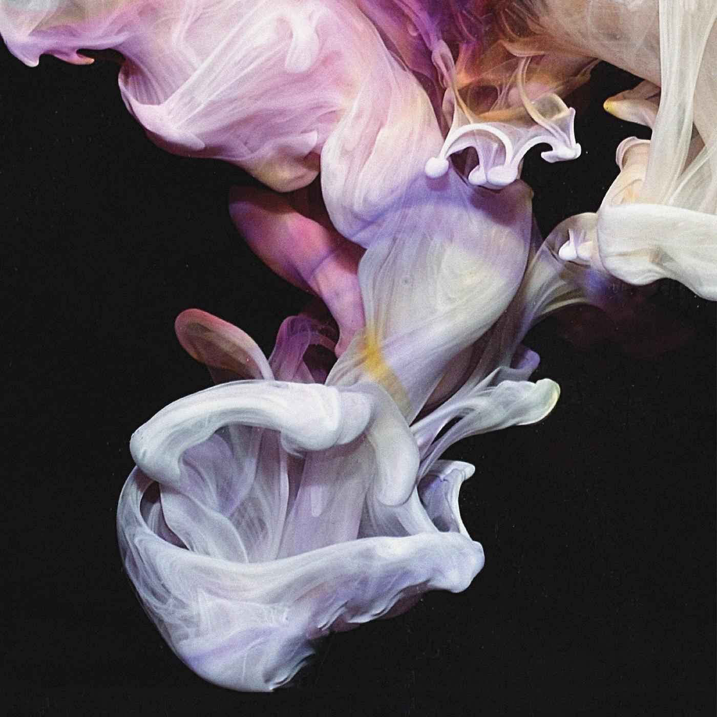 Murmurations [CD]