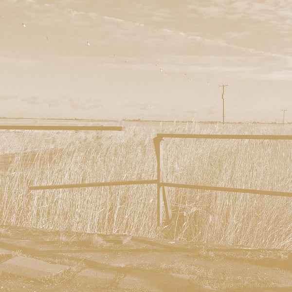 Long Drove [CD]