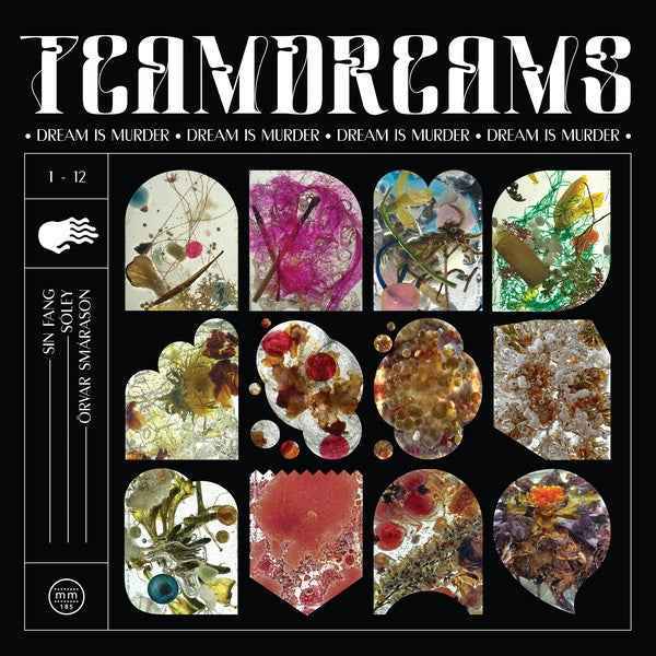 Dream Is Murder [Vinyl]