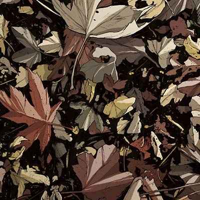 Skallander [CD]