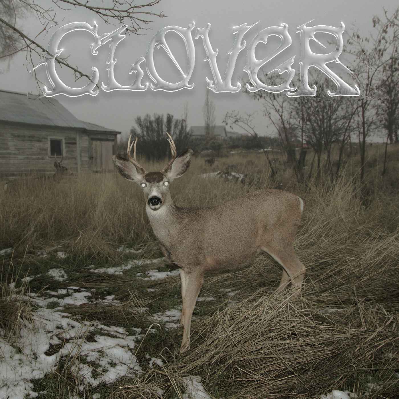 Clover [Vinyl]