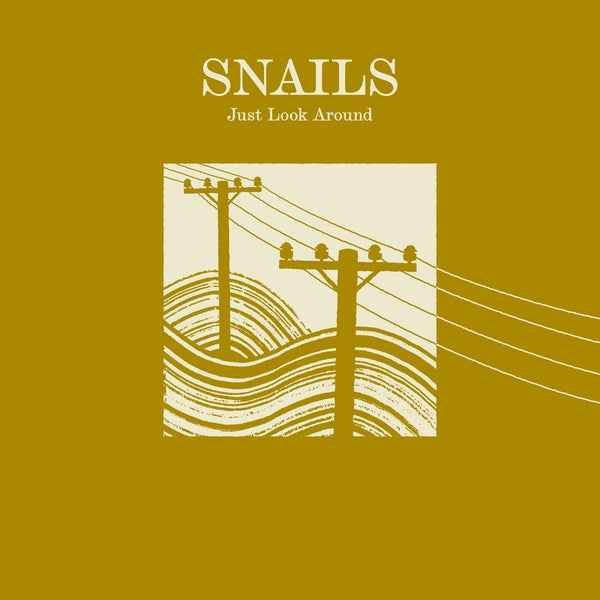 Just Look Around [Vinyl]