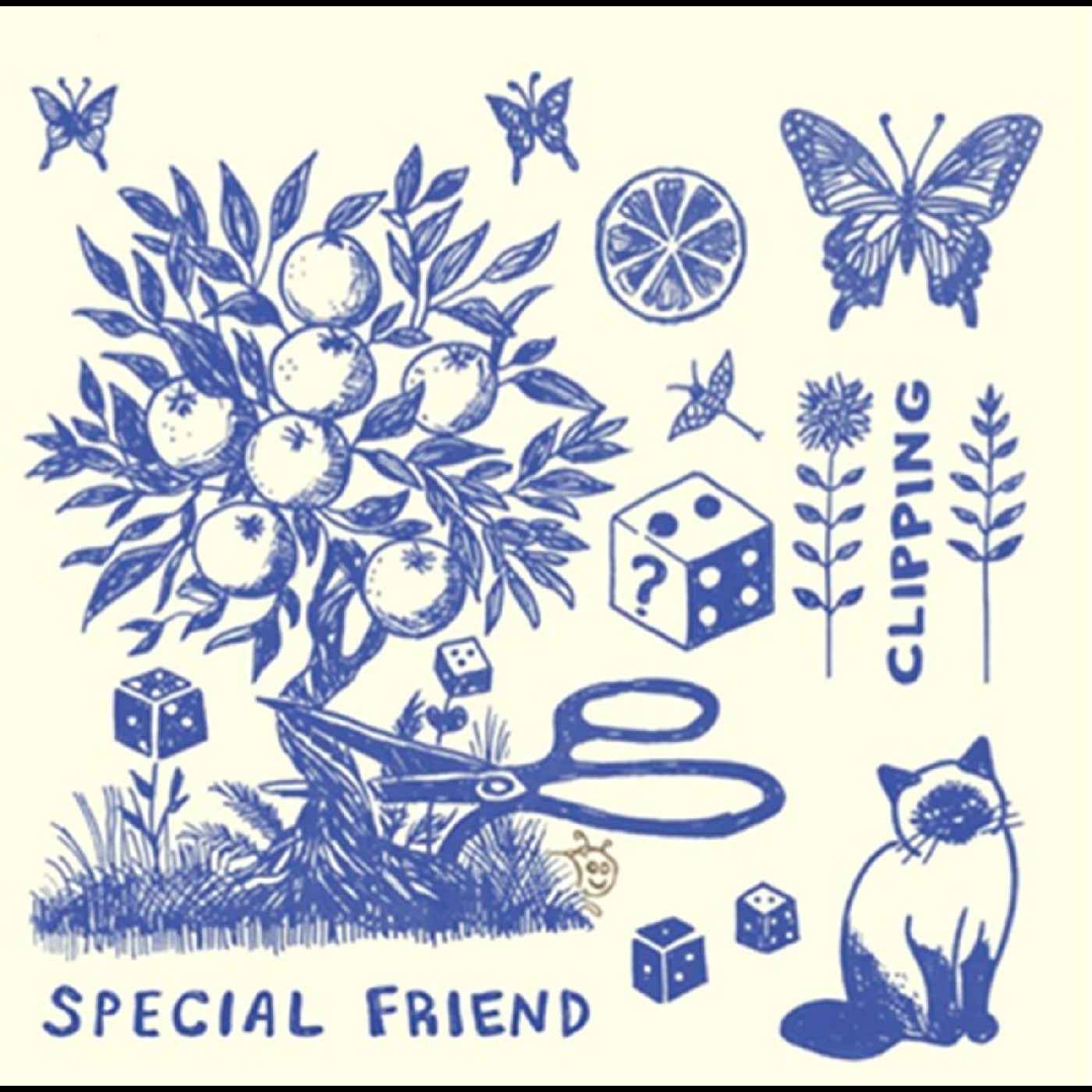 Special Friend - Clipping [Vinyl]