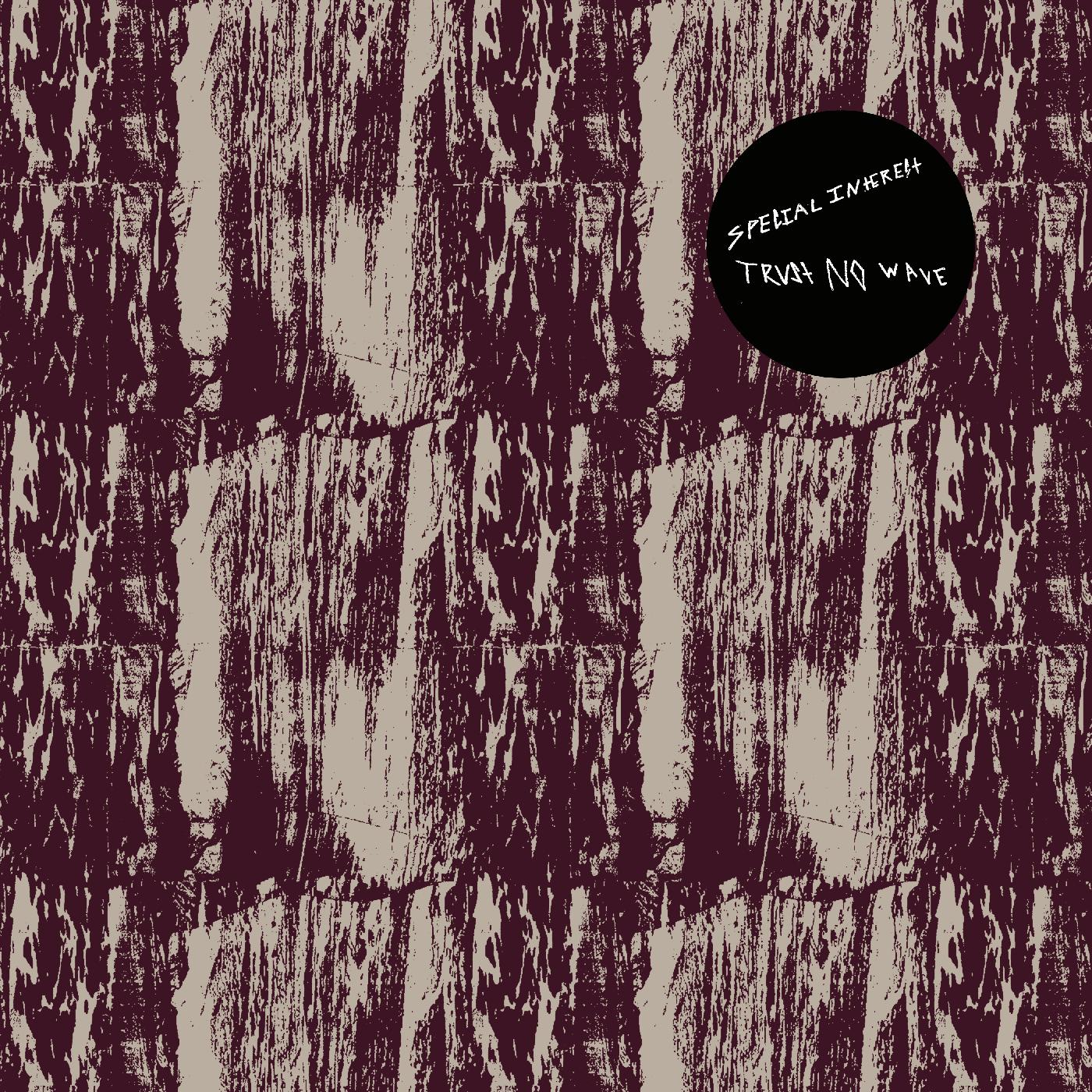 Trust No Wave [Vinyl]