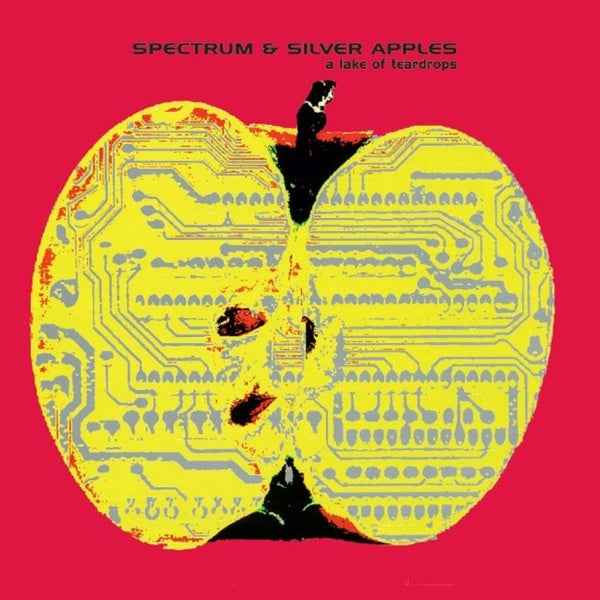 A Lake Of Teardrops [Vinyl]