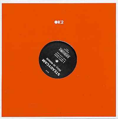 STEADYCAM - Dull In Minor [Vinyl]