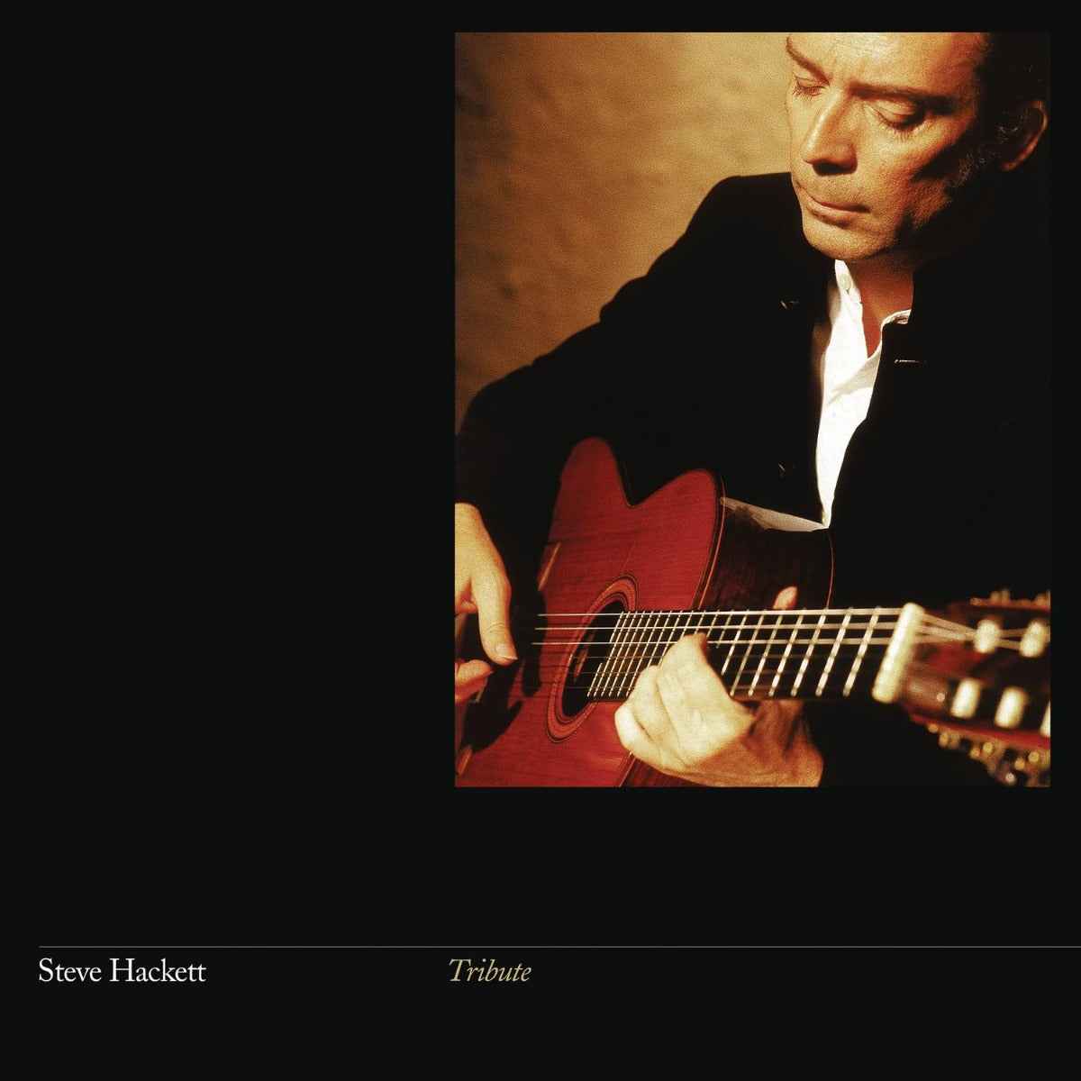 Tribute (Gatefold LP Jacket, Reissue) [Vinyl]