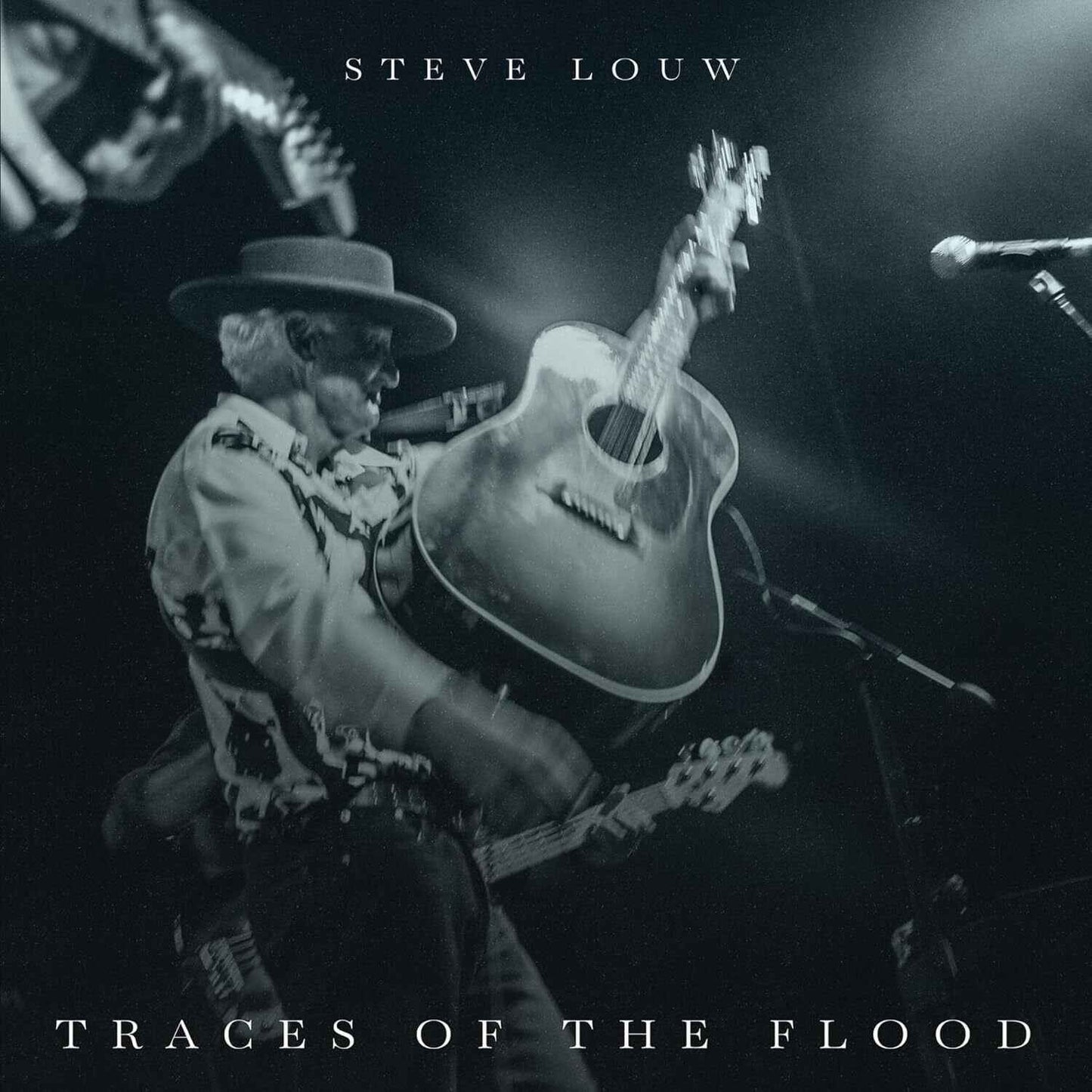 Steve Louw - Traces Of The Flood [CD]