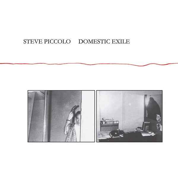 Domestic Exile [CD]