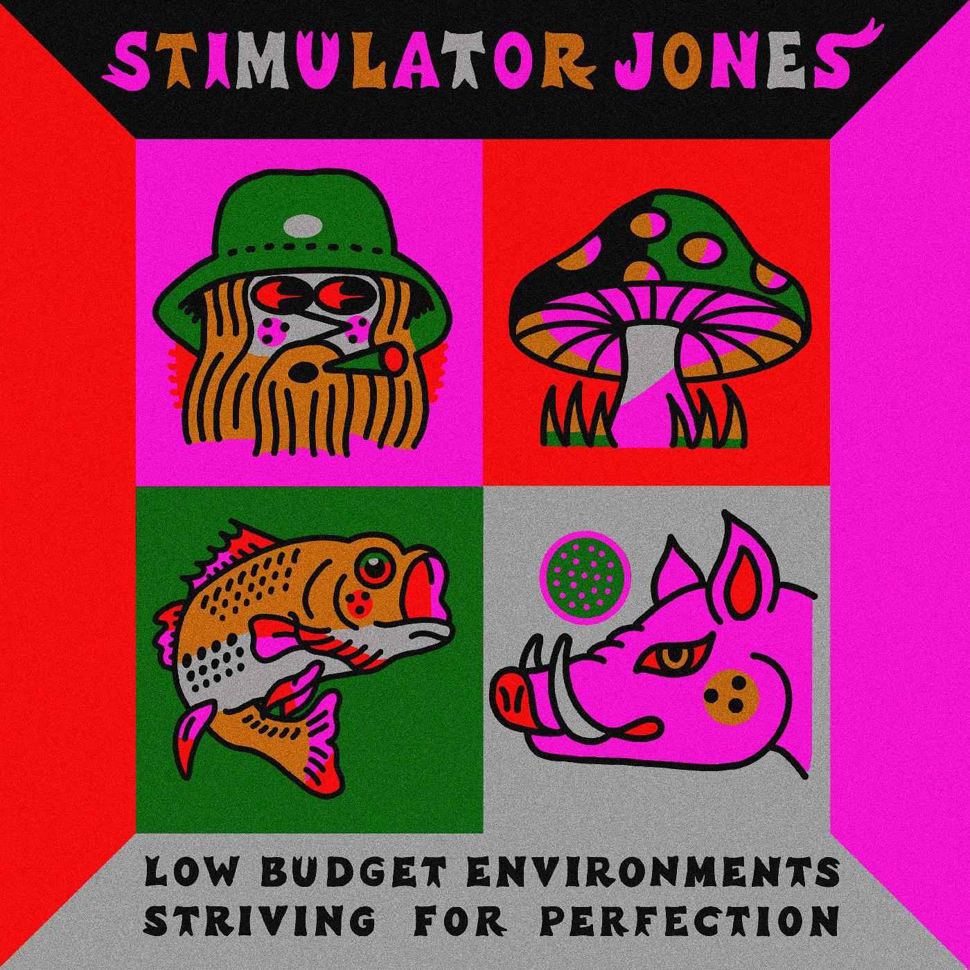 Low Budget Environments Striving For Perfection [Vinyl]