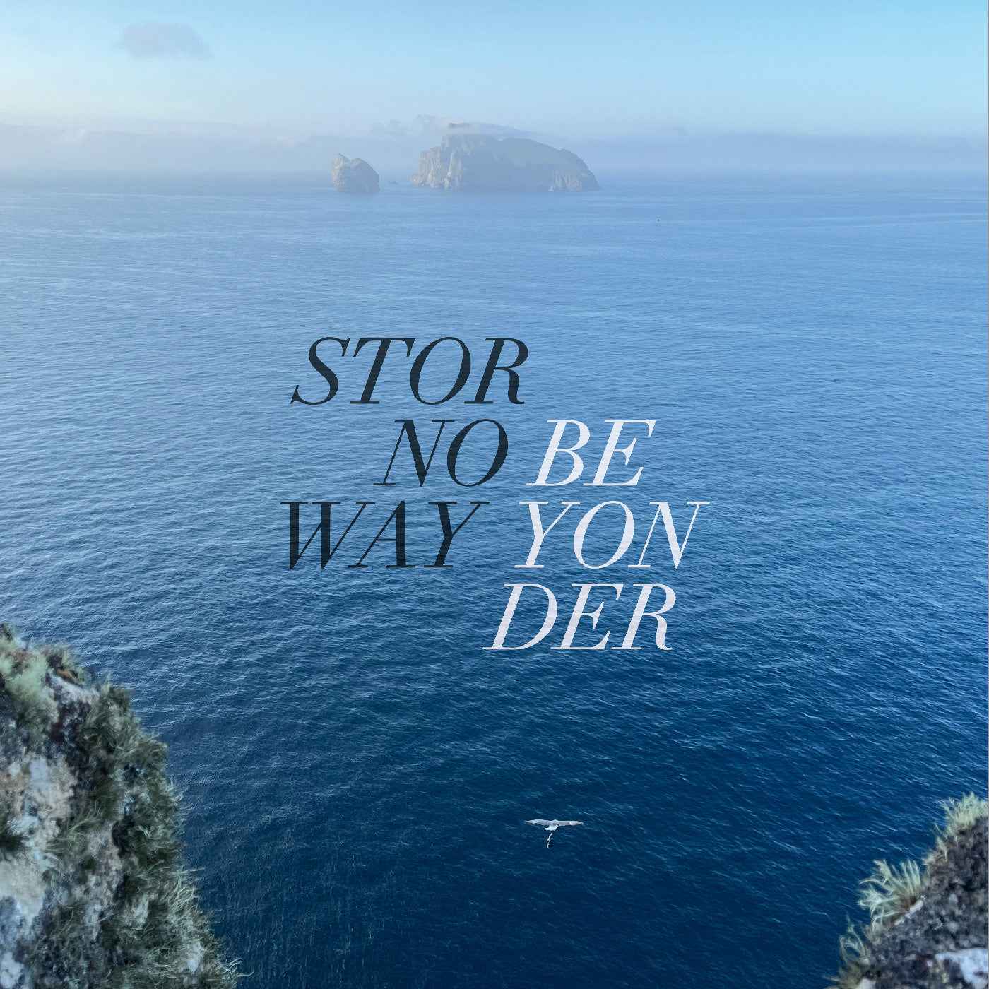 Stornoway - Beyonder (Random Solid Colour Eco Vinyl) [Vinyl]