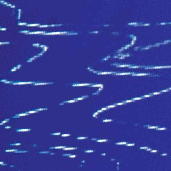 Information Pollution [Vinyl]