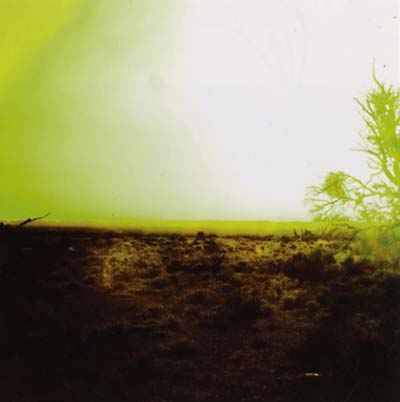 Strings Of Consciousness & Angel [CD]