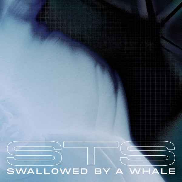 Swallowed By A Whale [Vinyl]