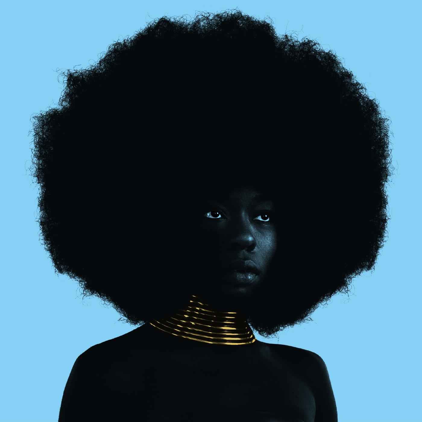 Sink [Vinyl]