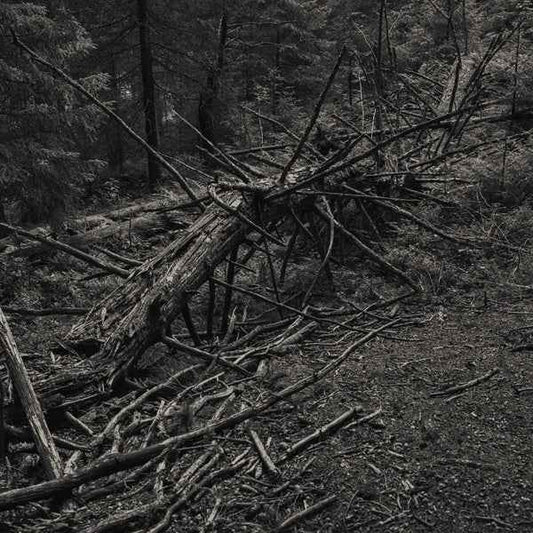 Always I Gnaw [Vinyl]