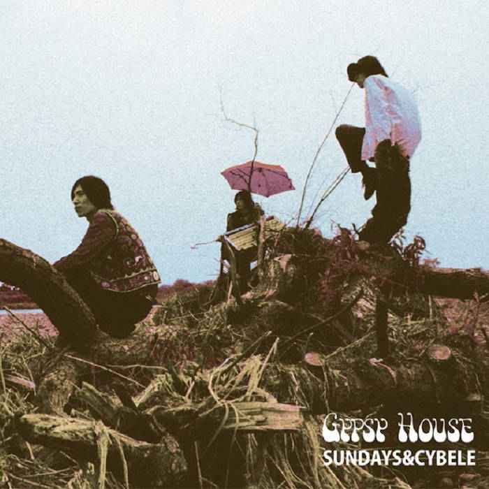 Gypsy House [Vinyl]