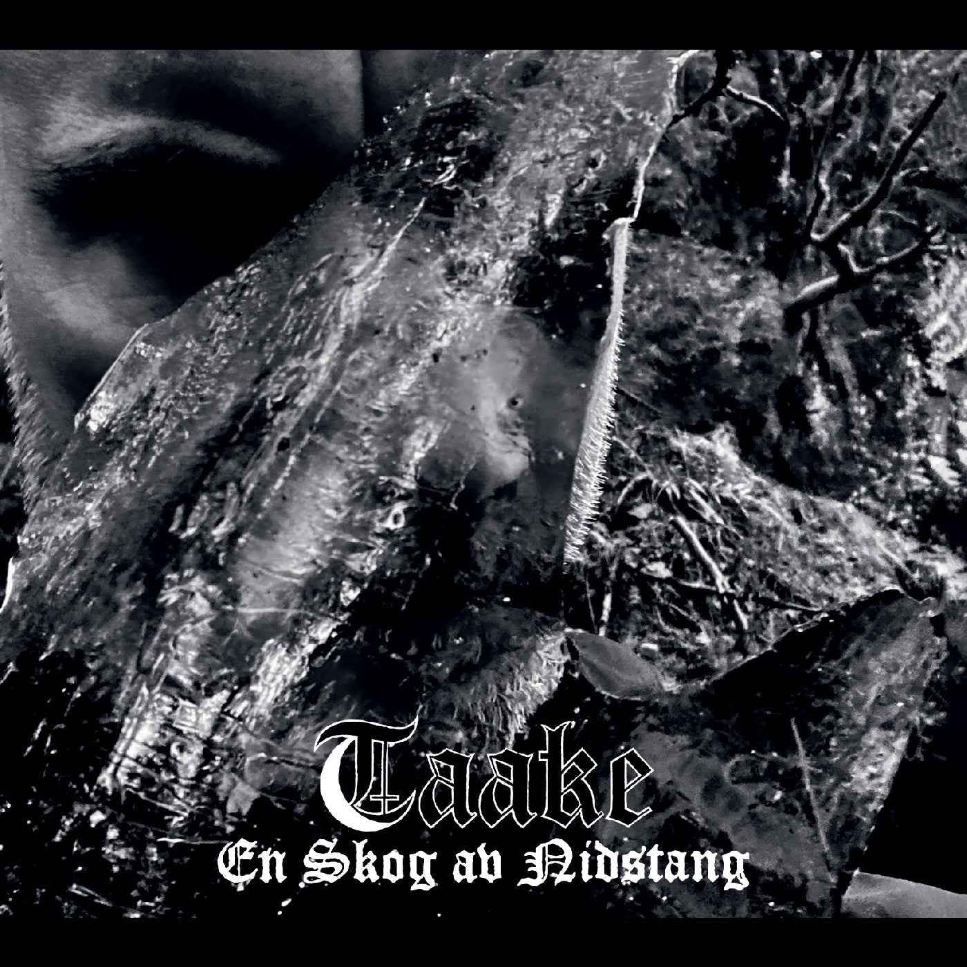 Taake - En Skog Av Nidstang [Vinyl]
