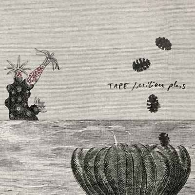 Milieu Plus [CD]