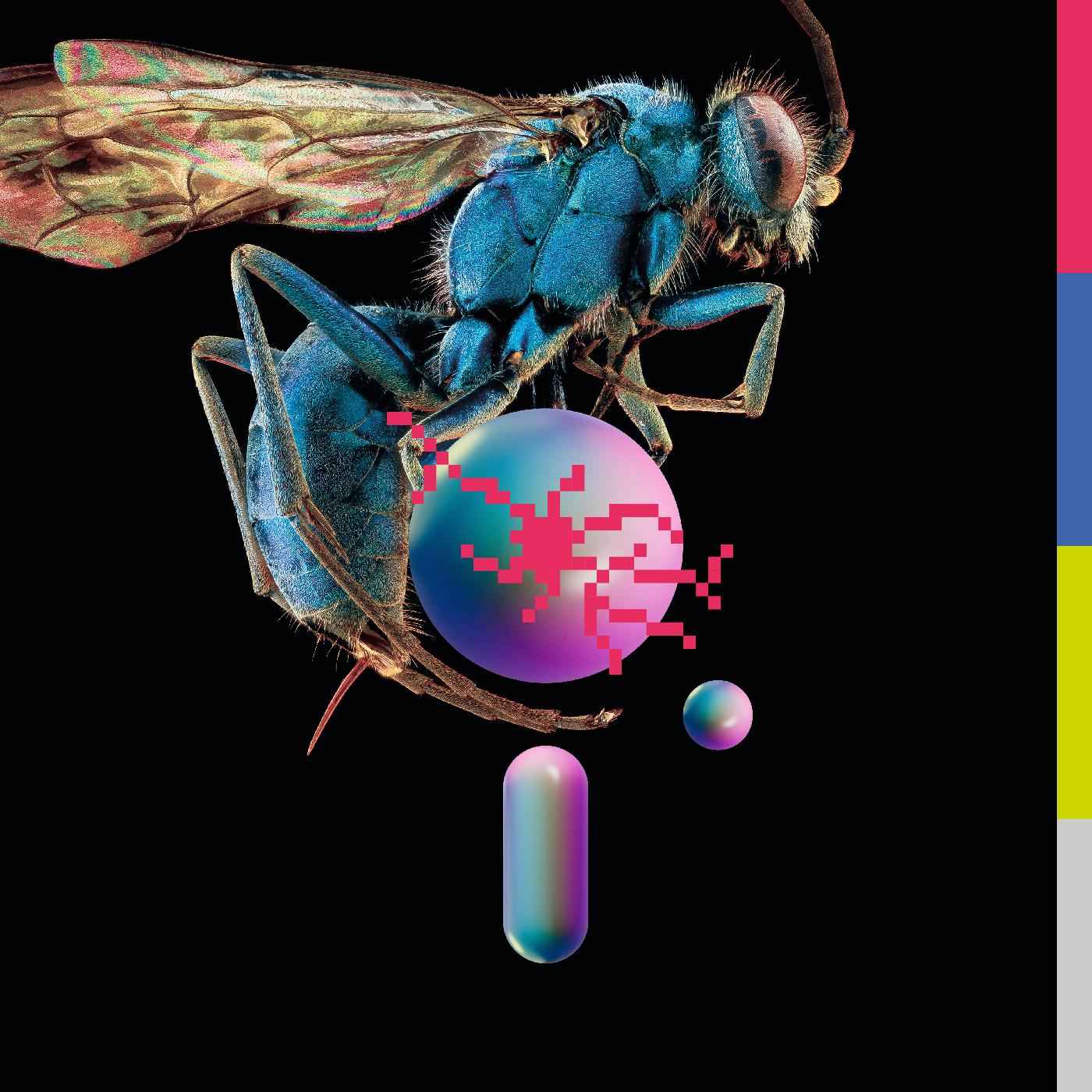 Hive [CD]