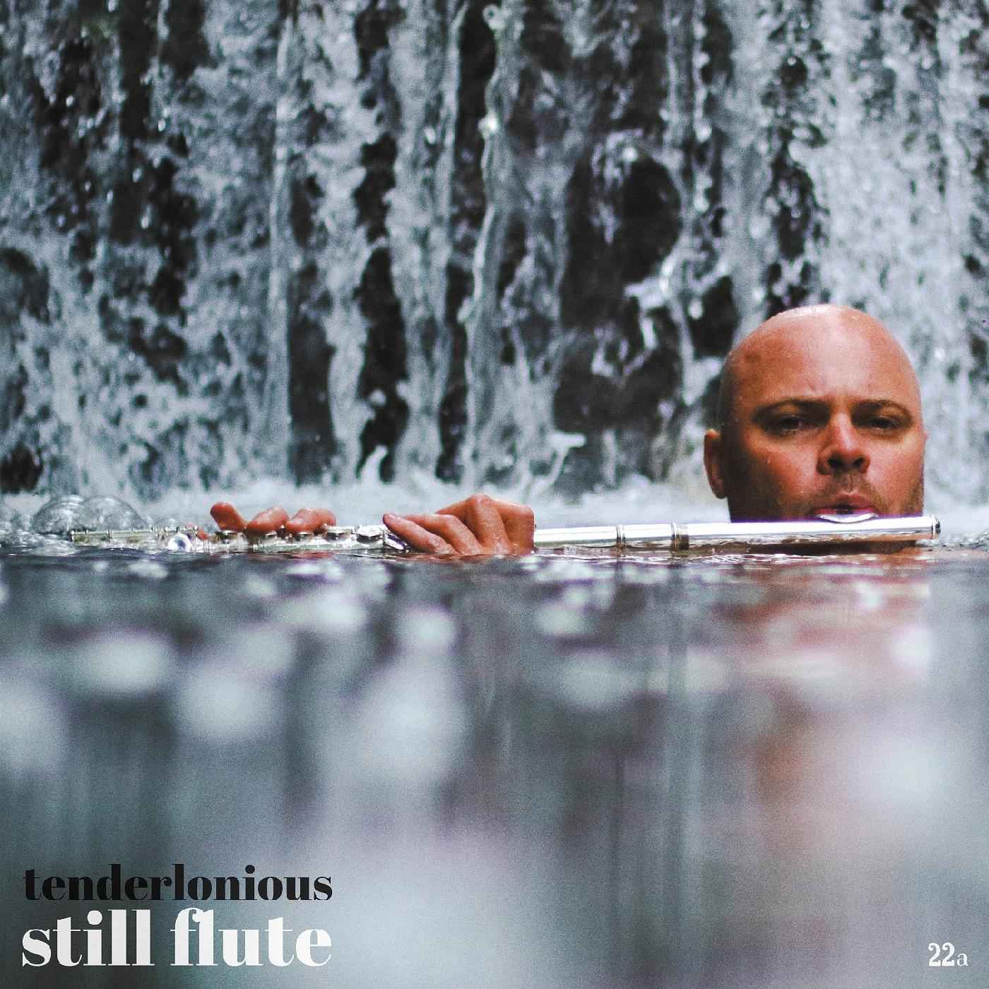 Still Flute [CD]